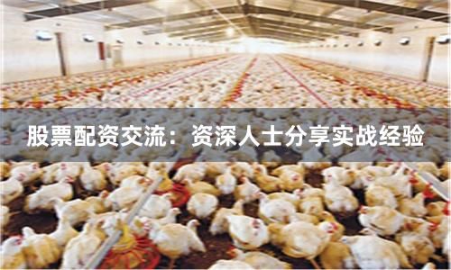 股票配资交流：资深人士分享实战经验