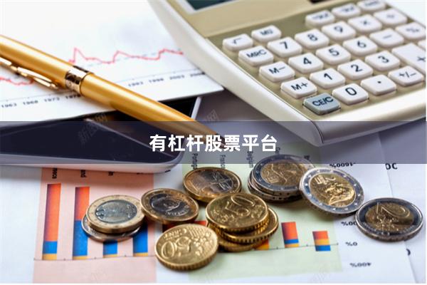 有杠杆股票平台